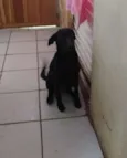 Lili