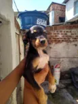 Pretinho