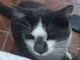 Docinho