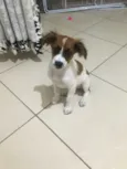 Nina