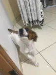 Nina