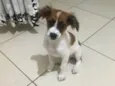 Nina