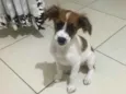 Nina