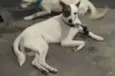 Luci e Fred