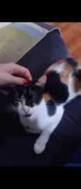 Mimi