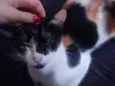 Mimi