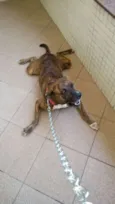 Nilo