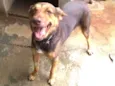 SAFADA 