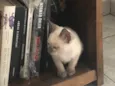 Ben