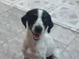 Bob