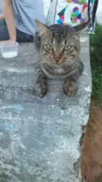 Pedro