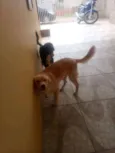 Marley, poli e raika