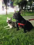 Thor e lunna