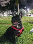Thor e lunna