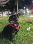 Thor e lunna