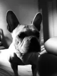 Thor e lunna