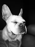 Thor e lunna