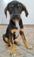 Théo Bebezinho