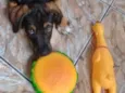 Théo Bebezinho