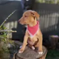 Lena
