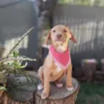 Lena