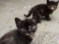 MEG E MIA