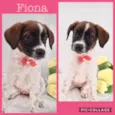 Fiona