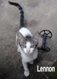 Lennon