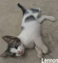 Lennon