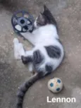 Lennon