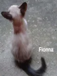 Fionna