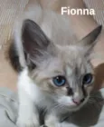 Fionna