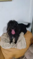 Neguinha