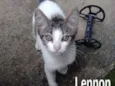 Lennon