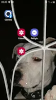 Killer