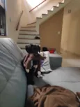 Koa