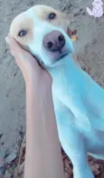 Marley