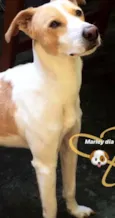 Marley