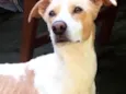 Marley