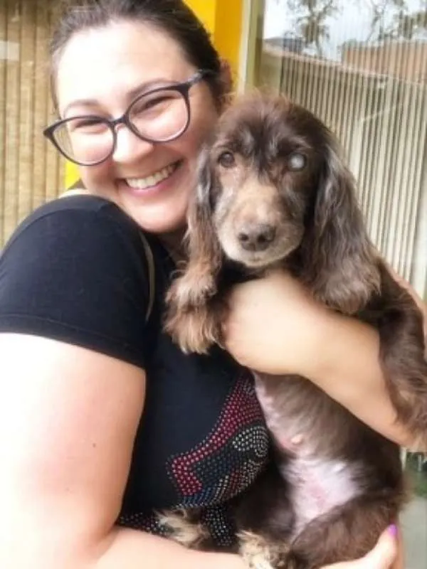 Cachorro ra a srd idade 6 ou mais anos nome Tirsa