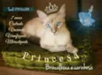 Princesa