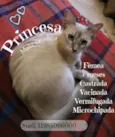 Princesa