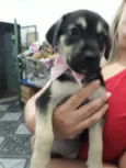 Amelia bebê fofa