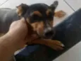 Kiara