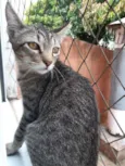 Fred