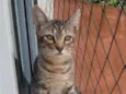 Fred