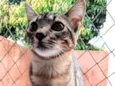 Lila