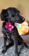 Princesa
