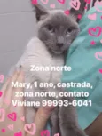 Mary