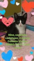 Nino